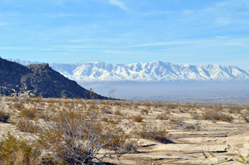 Mojave Desert